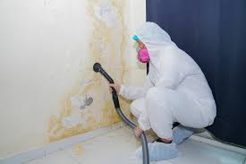 Trusted Walbridge, OH Mold Prevention & Removal  Experts